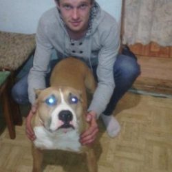 Молодой парень, студент. Ищу девушку для секса в Владимире Молодой парень, студент. Ищу девушку для секса в Владимире