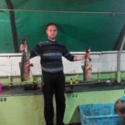 Парень ищет девушку для встречи и не только в Владимире Парень ищет девушку для встречи и не только в Владимире