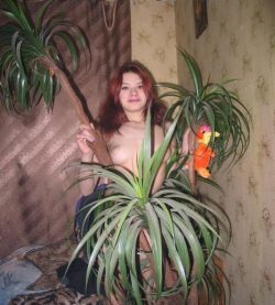 Брюнетка, познакомлюсь с мужчиной для секс встречи в Владимире Брюнетка, познакомлюсь с мужчиной для секс встречи в Владимире